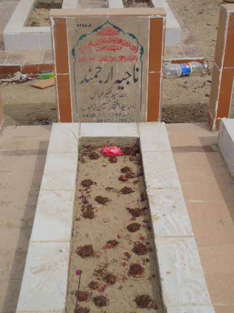 14154 – Najia Arjumand