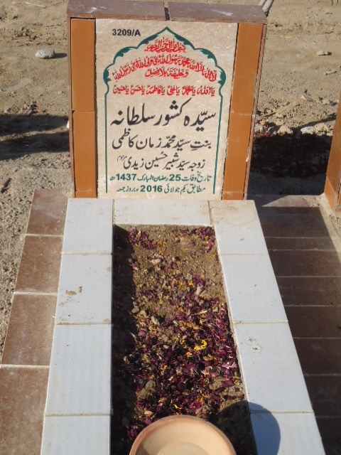 13209 – Syeda Kishwar Sultana