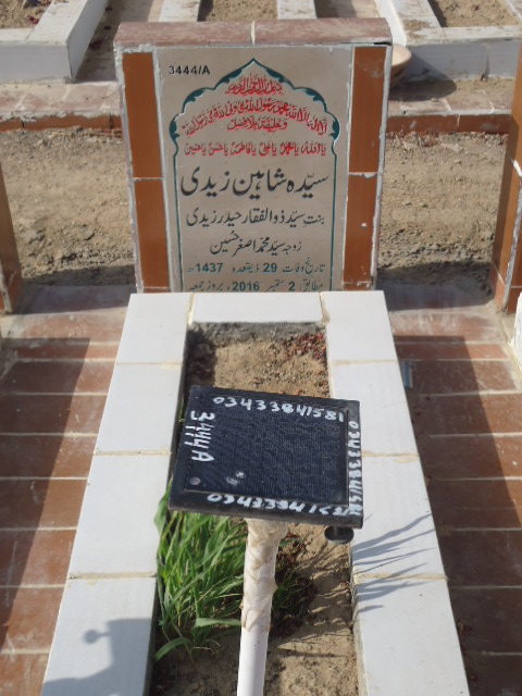 13444 – Syeda Shaheen Zaidi
