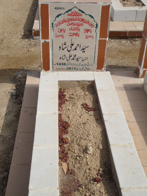 14231 – Syed Ahmed Ali Shah