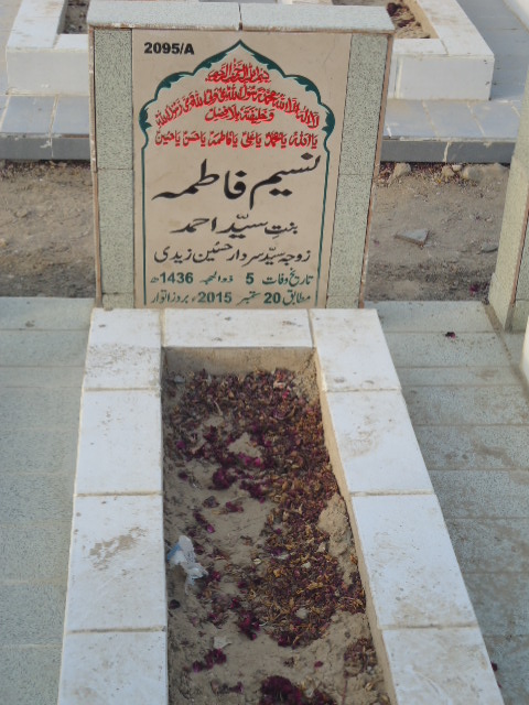 12095 – Naseem Fatima