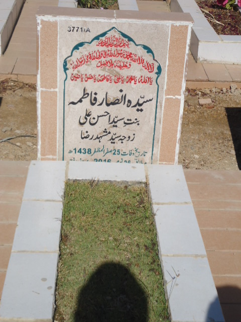 13771 – Syed Ansar Fatima