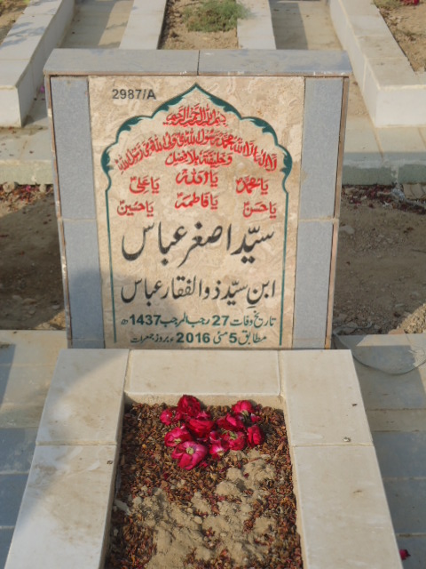 12987 – Syed Asghar Abbas