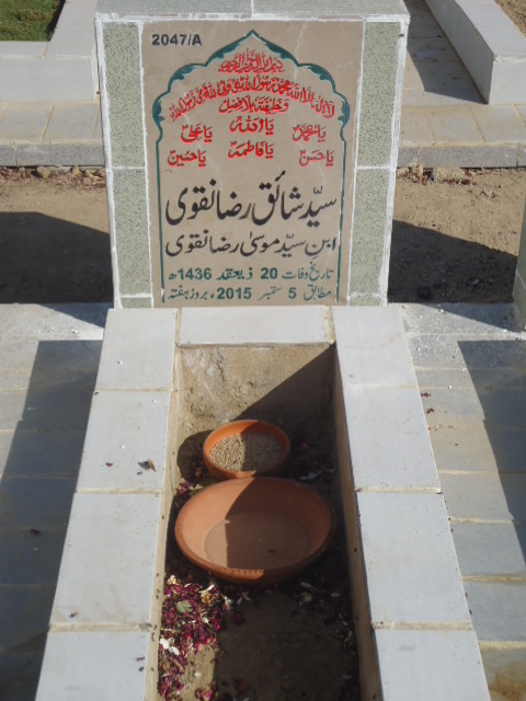 12047 – Syed Shaiq Raza Naqvi