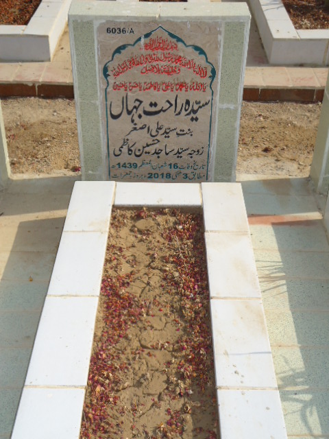 16036 – Syeda Rahat Jahan