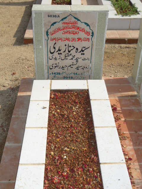 16030 – Syeda Hina Zaidi