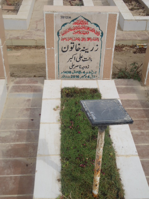 13812 – Zareena Khatoon