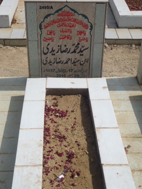 12495 – Syed Muhammad Raza Zaidi