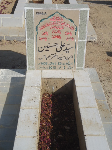 12048 – Syed Ali Hasnain