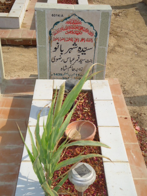 16014 – Syeda Sheharbano