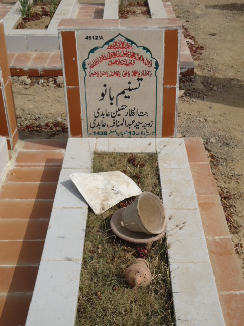 14512 – Tasneem Bano