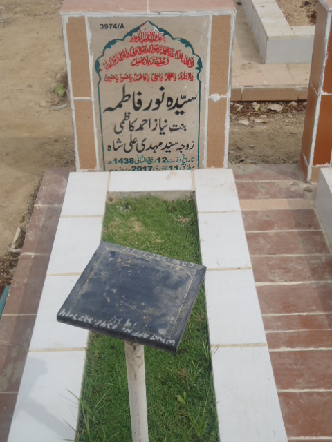 13974 – Syeda Noor Fatima