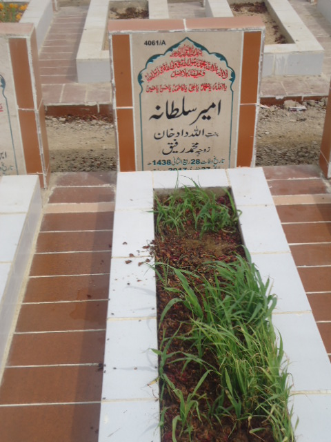 14061 – Ameer Sultana