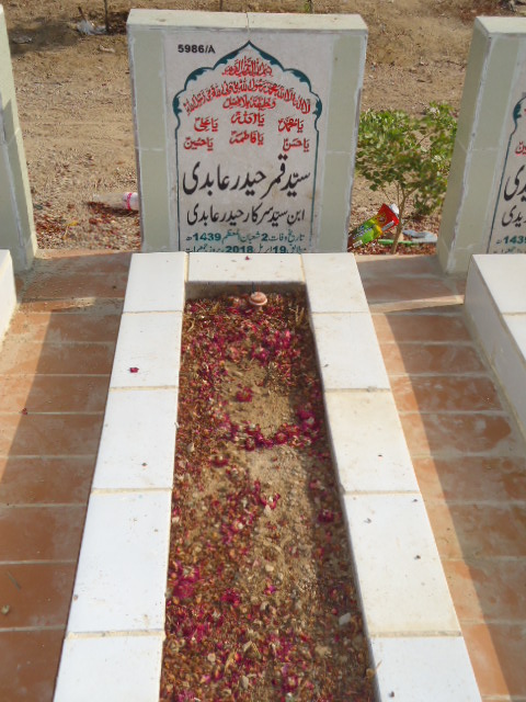 15986 – Syed Qamar Haider Abidi