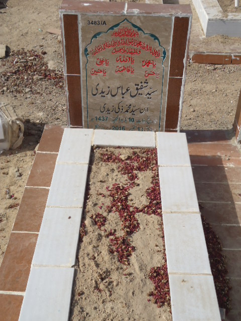 13483 – Syed Shafiq Abbas Zaidi