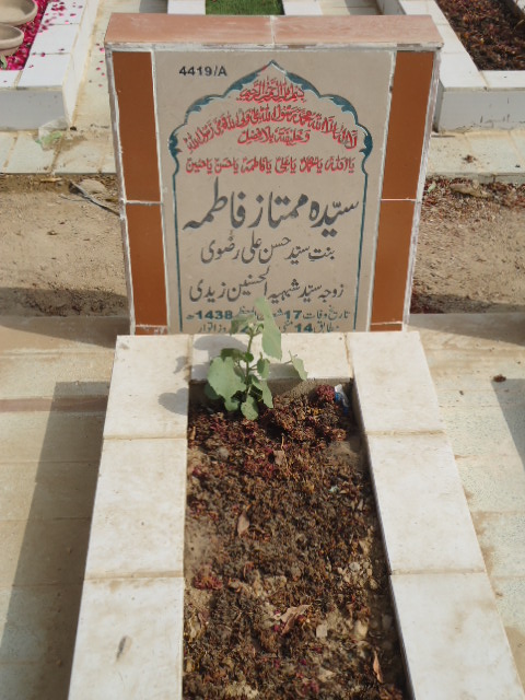 14419 – Syeda Mumtaz Fatima