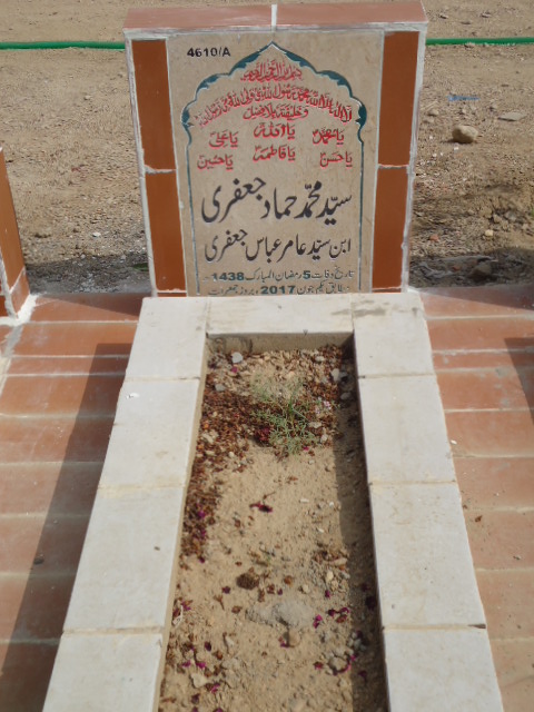 14610 – Syed Muhammad Hammad Jaffery