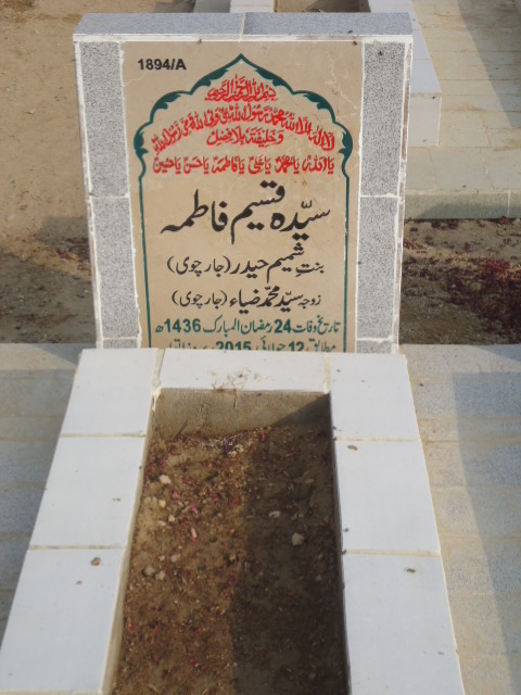 11894 – Syeda Qaseem Fatima