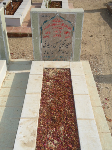 16064 – Syed Tanveer Hassan Zaidi