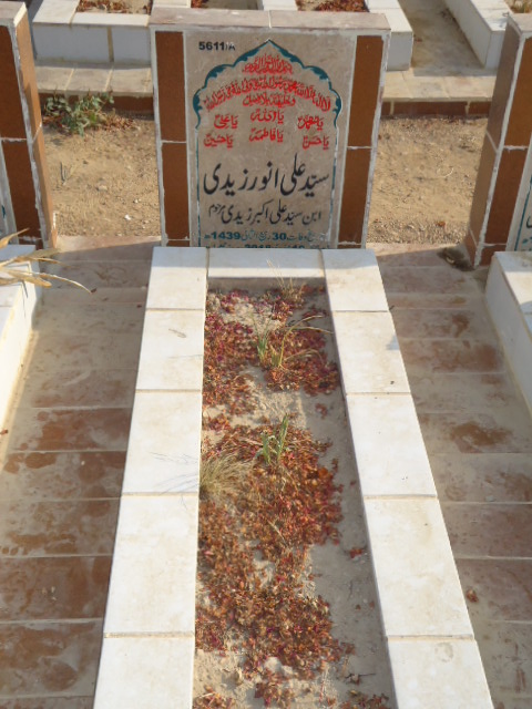 15611 – Syed Ali Anwar Zaidi