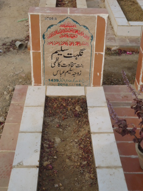 15756 – Nighat Saleem