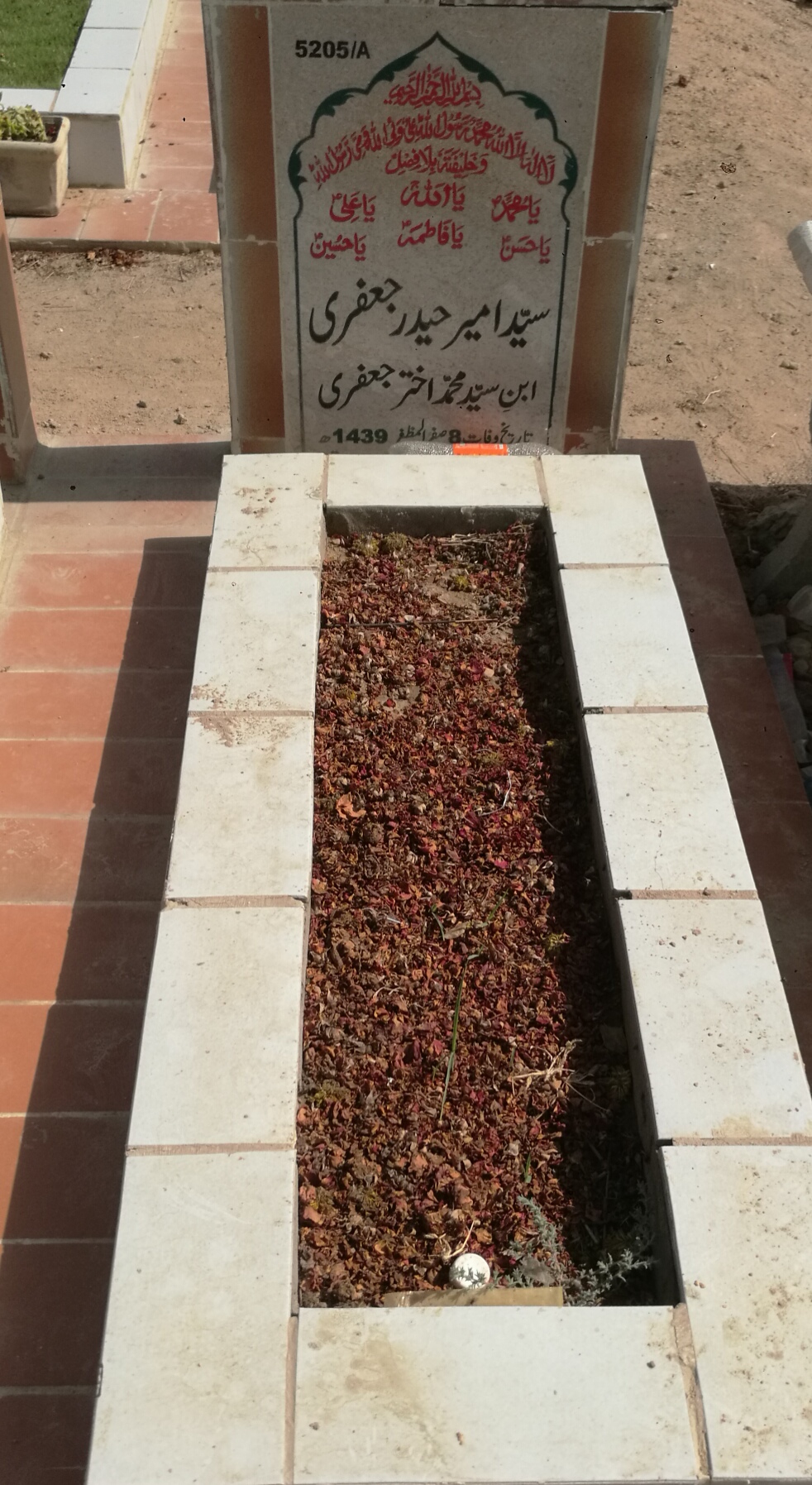 15205 – Syed Ameer Haider Jaffery