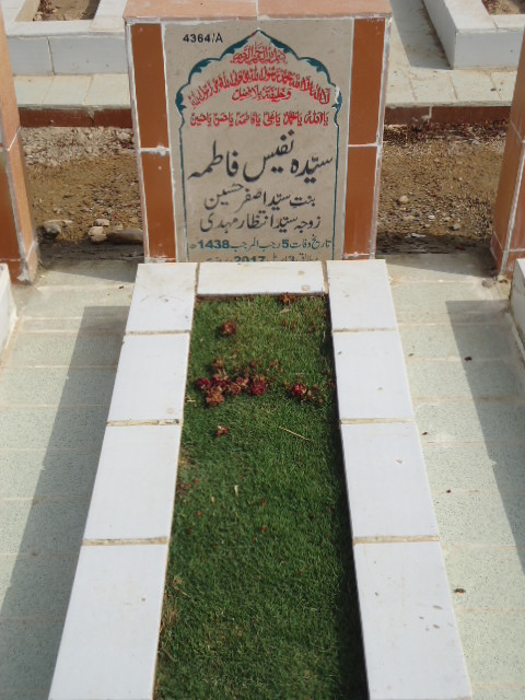 14364 – Syeda Nafees Fatima