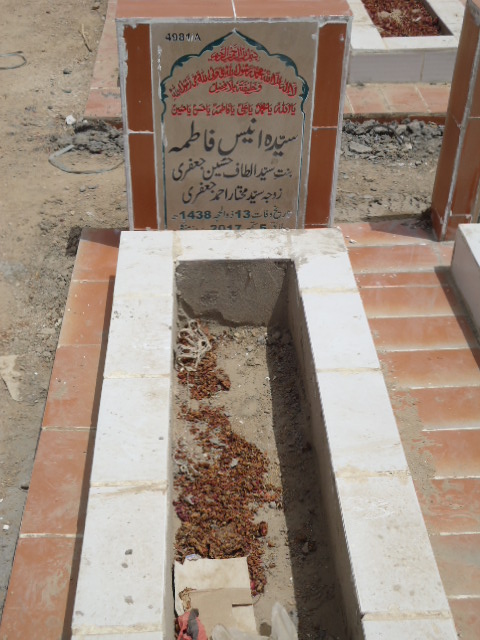14981 – Syeda Anees Fatima