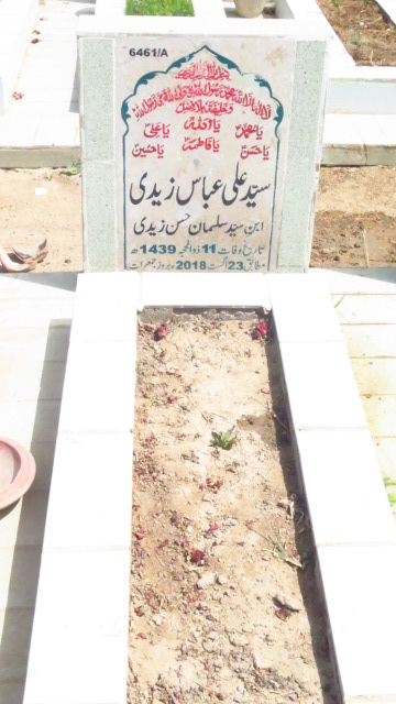 16461 – Syed Ali Abbas Zaidi