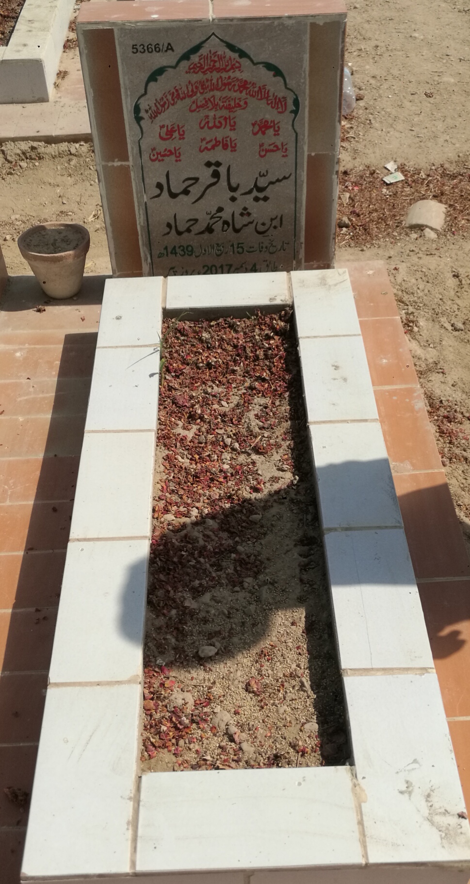 15366 – Syed Baqar Hammad