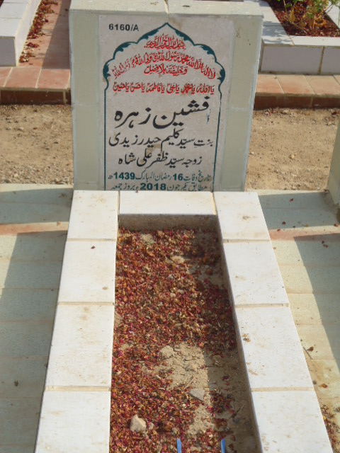 16160 – Afsheen Zehra