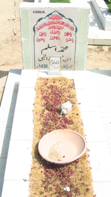 16500 – Muhammad Aslam