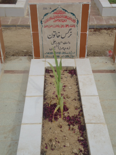 13907 – Nargis Khatoon