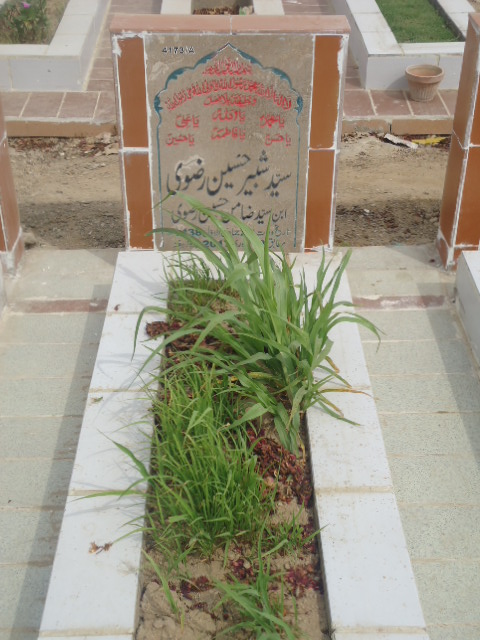 14173 – Syed Shabbir Hussain Rizvi