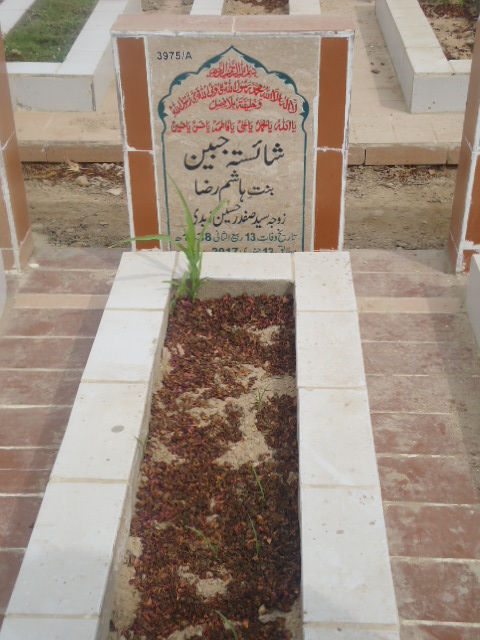 13975 – Shahista Jabeen
