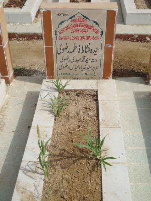 14370 – Syeda Nishat Fatima Rizvi