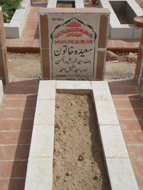 15118 – Saeeda Khatoon