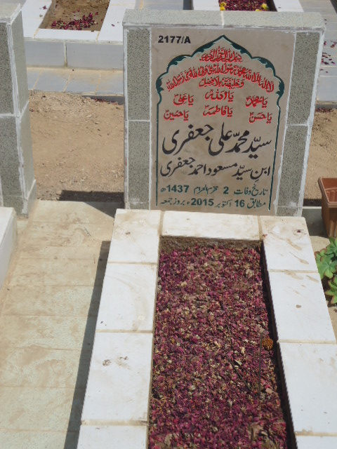 12177 – Syed Muhammad Ali Jaffery