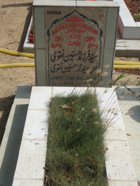 12439 – Syed Farzand Hasnain Naqvi