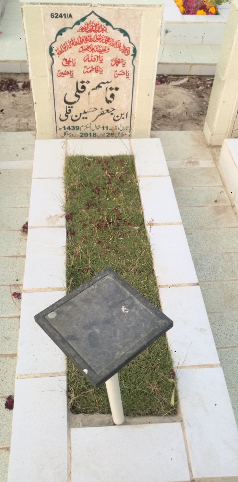 16241 – Qasim Qulli