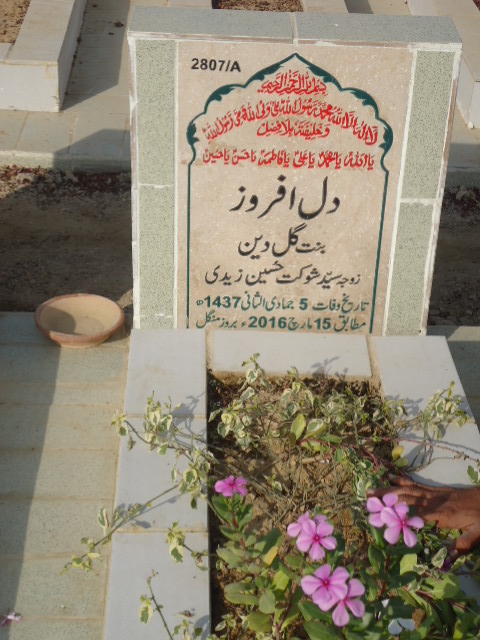 12807 – Dil Afroze