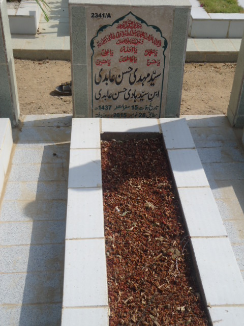 12341 – Syed Mehdi Hasan Abidi