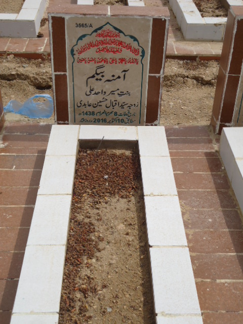 13565 – Amna Begum