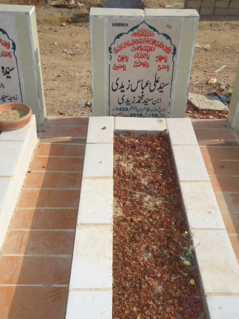 15989 – Syed Ali Abbas Zaidi