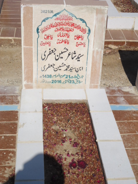 13621 – Syed Shair Hussain Jaffery