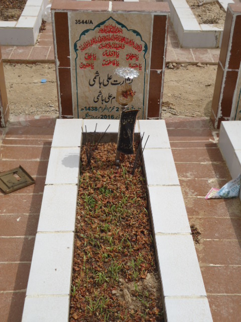 13544 – Basharat Ali Hashmi