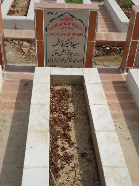 14701 – Syeda Kaneez Fatima