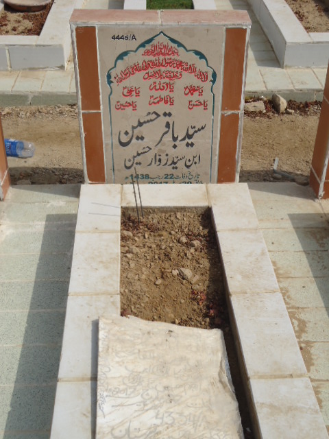 14445 – Syed Baqar Hussain