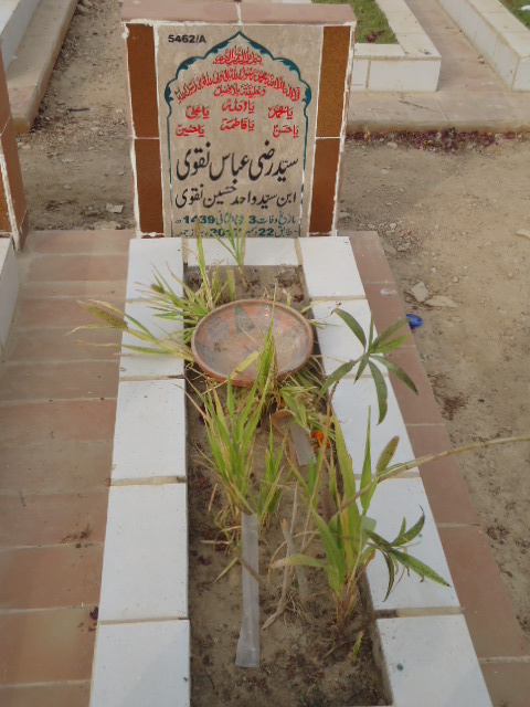 15462 – Syed Razi Abbas Naqvi