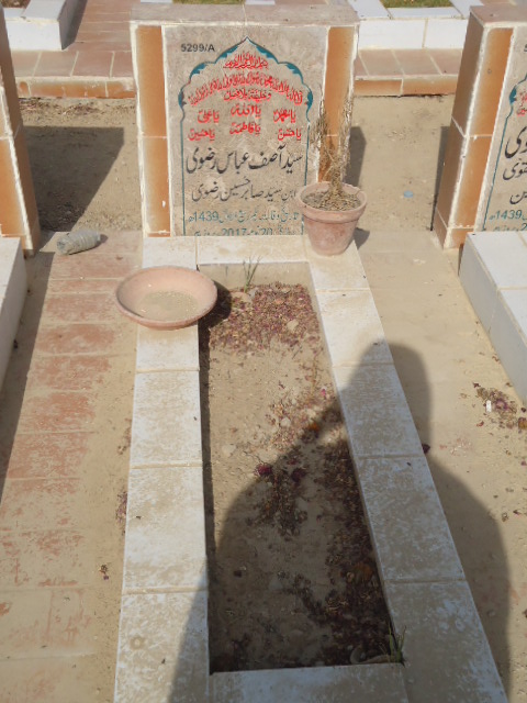 15299 – Syed Asif Abbas Rizvi